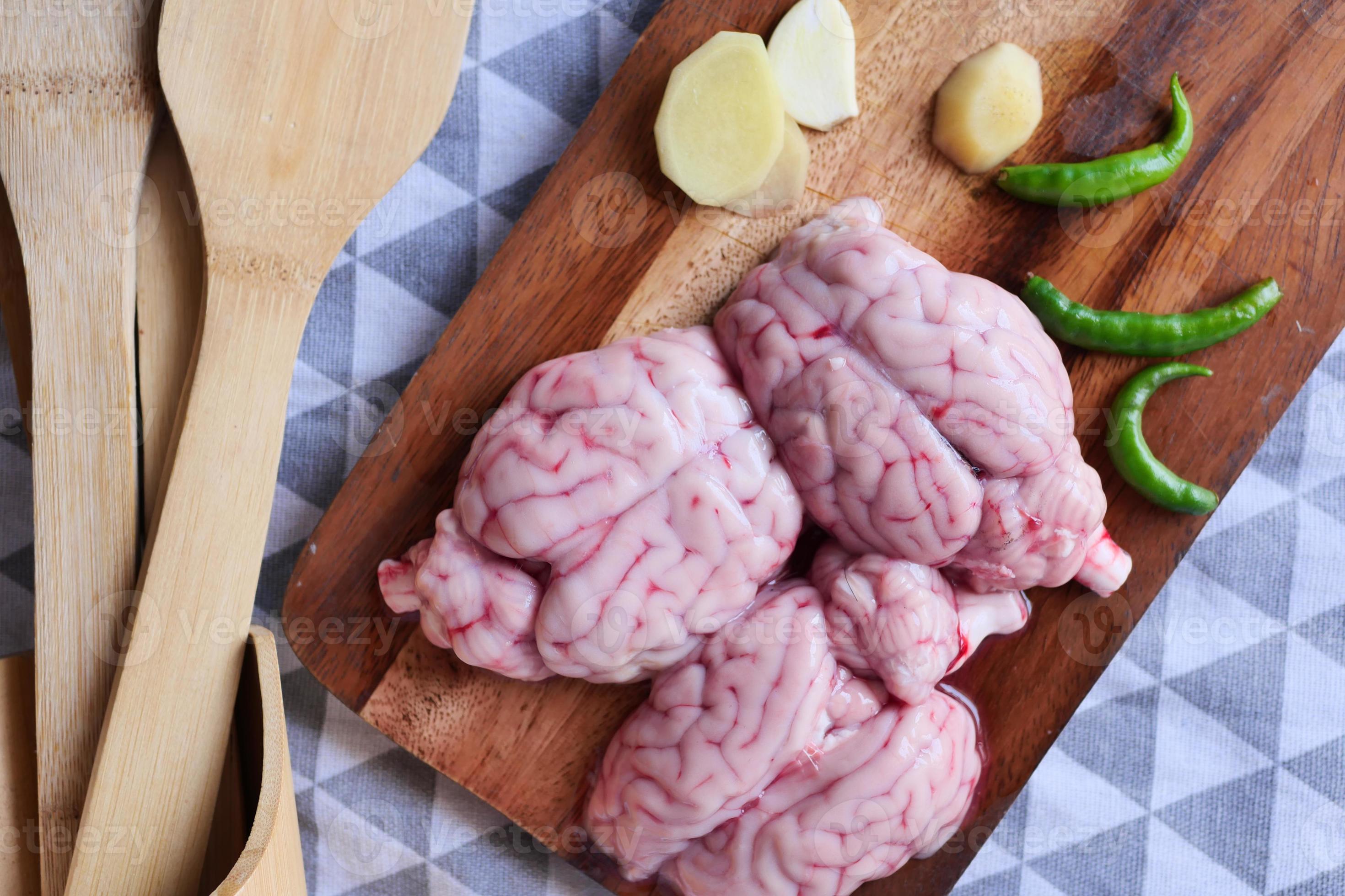 Brain