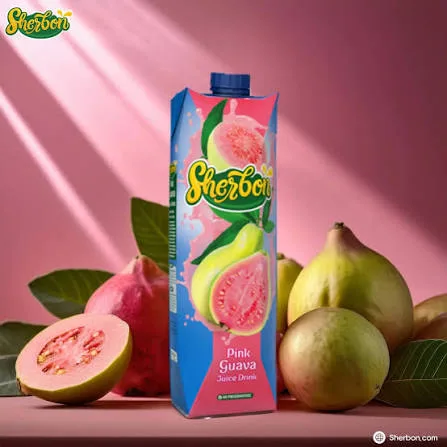 SHERBON GUAVA DRINK 1L