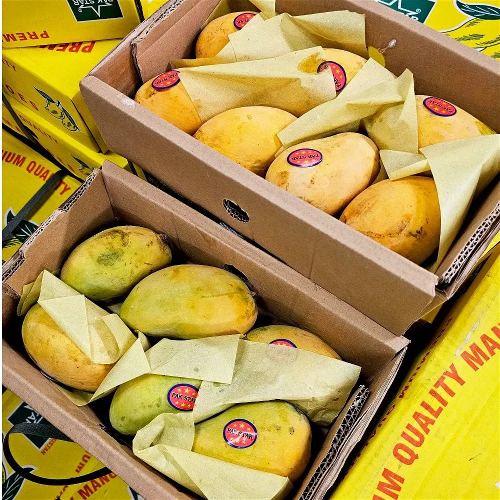 SMALL PAKISTANI MANGO BOX