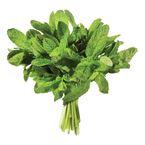 FRESH MINT/PC