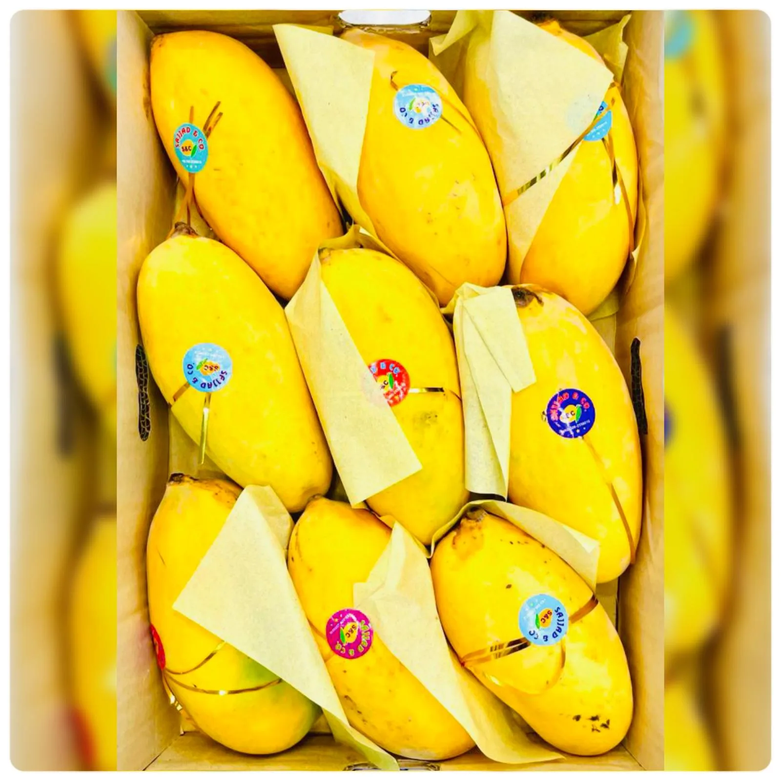 LARGE MANGO BOX