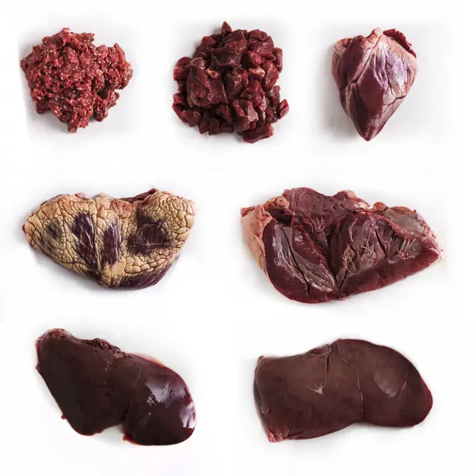 Organs