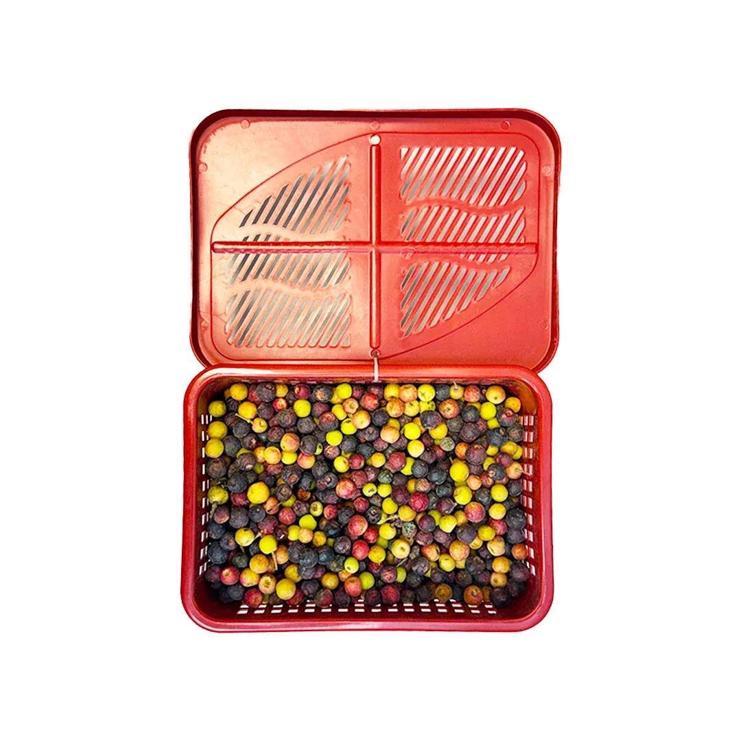 PAKISTANI FALSA BOX