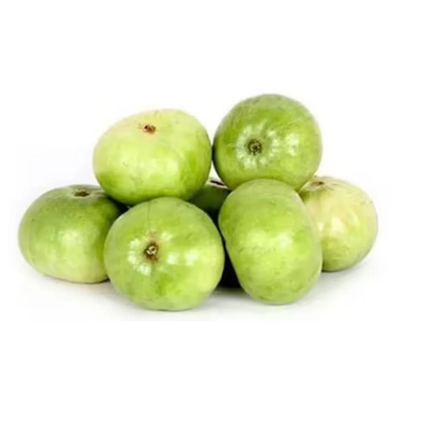 FRESH TINDA/LB