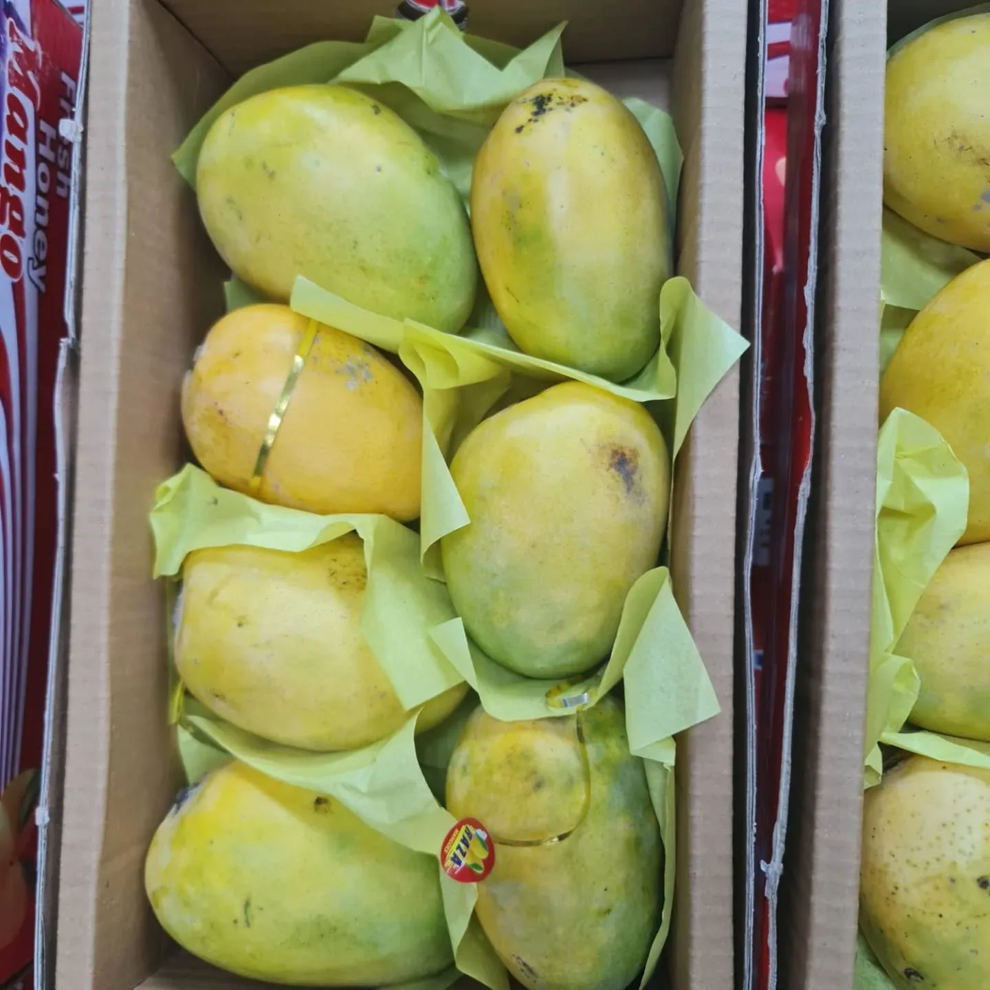 SMALL PAKISTANI MANGO BOX
