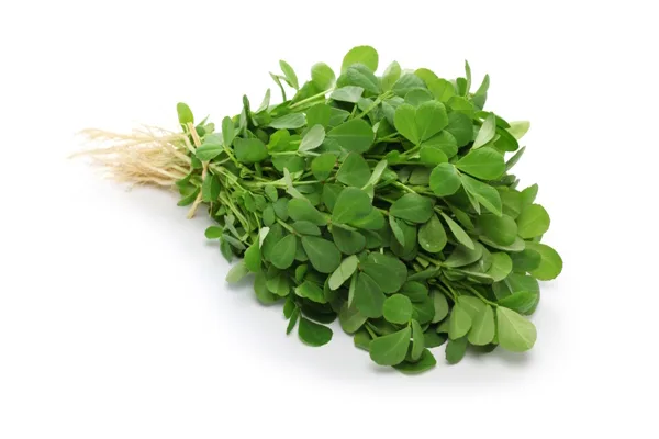 FRESH METHI/PC