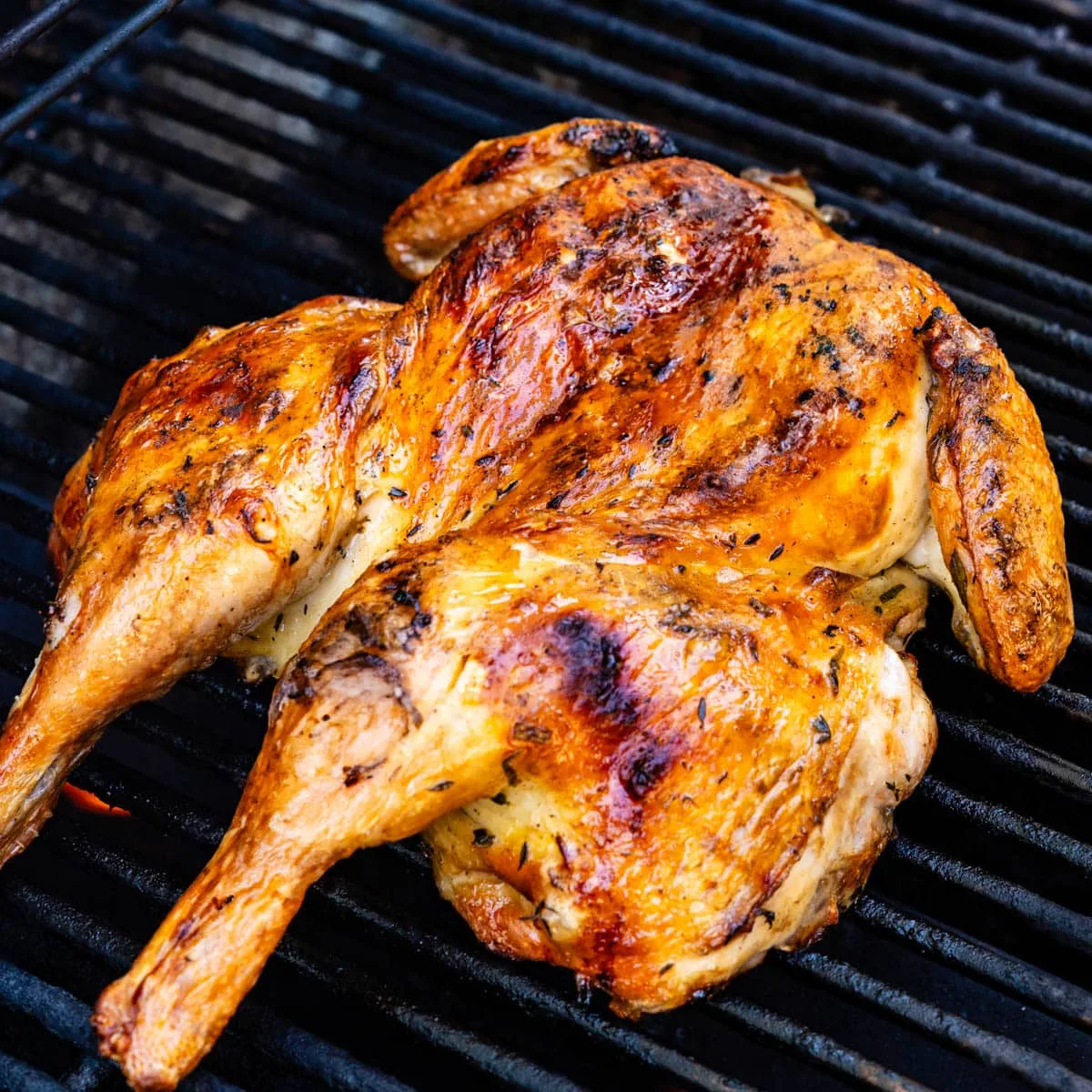 Grilled Chicken