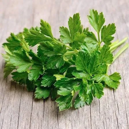 Fresh Parsely